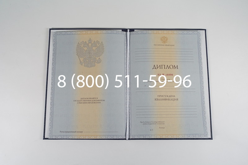 Диплом специалиста 2012-2013 годов в Волгодонске Диплом специалиста 2012-2013 годов в Волгодонске